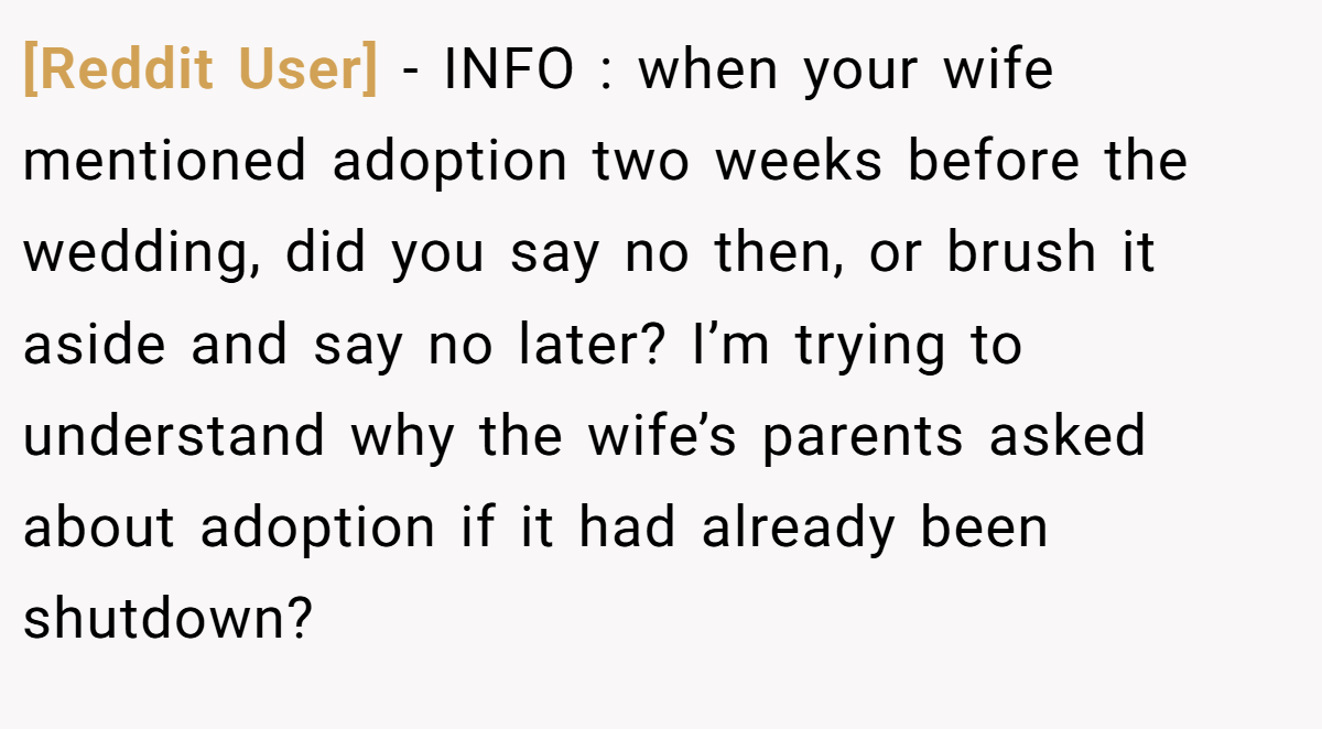 [Reddit User] − INFO : when your wife mentioned adoption two weeks before the wedding, did you say no then, or brush it aside and say no later? I’m trying to understand why the wife’s parents asked about adoption if it had already been shutdown?
