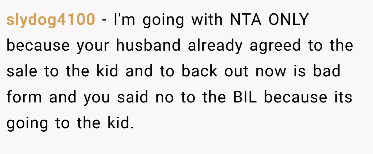 slydog4100 − I'm going with NTA ONLY because your husband already agreed to the sale to the kid and to back out now is bad form and you said no to the BIL because its going to the kid.