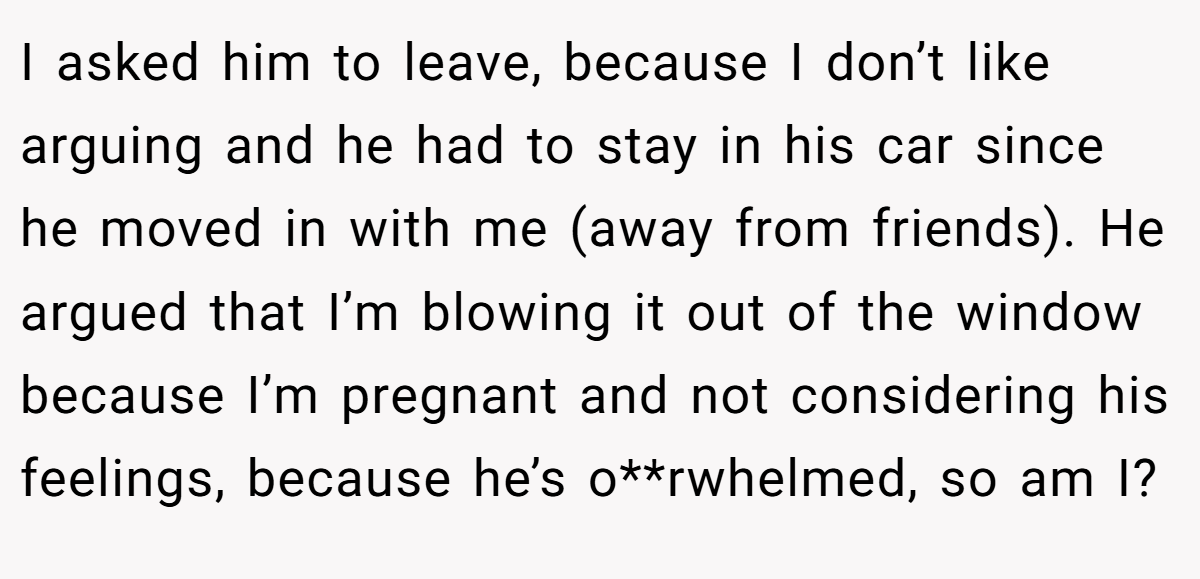 I asked him to leave, because I don’t like arguing and he had to stay in his car since he moved in with me (away from friends). He argued that I’m blowing it out of the window because I’m pregnant and not considering his feelings, because he’s o**rwhelmed, so am I?