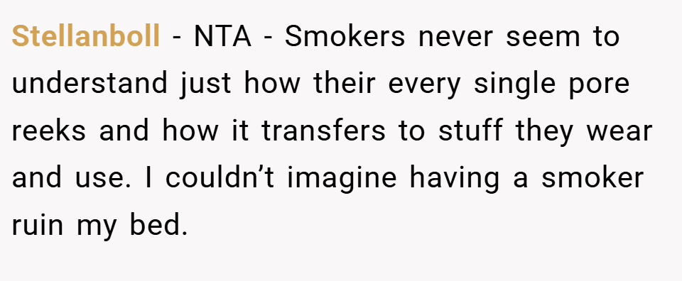 Stellanboll − NTA - Smokers never seem to understand just how their every single pore reeks and how it transfers to stuff they wear and use. I couldn’t imagine having a smoker ruin my bed.