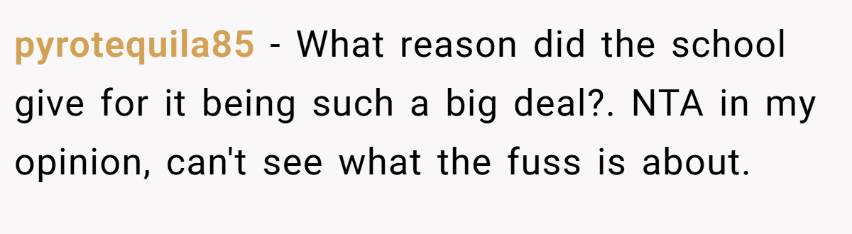 pyrotequila85 − What reason did the school give for it being such a big deal?. NTA in my opinion, can't see what the fuss is about.