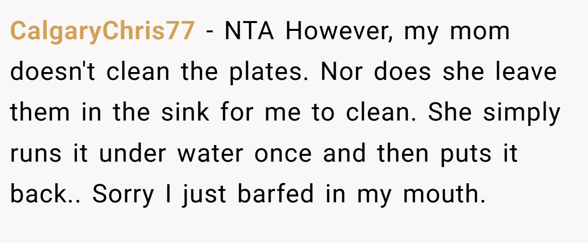 CalgaryChris77 − NTA However, my mom doesn't clean the plates. Nor does she leave them in the sink for me to clean. She simply runs it under water once and then puts it back.. Sorry I just barfed in my mouth.