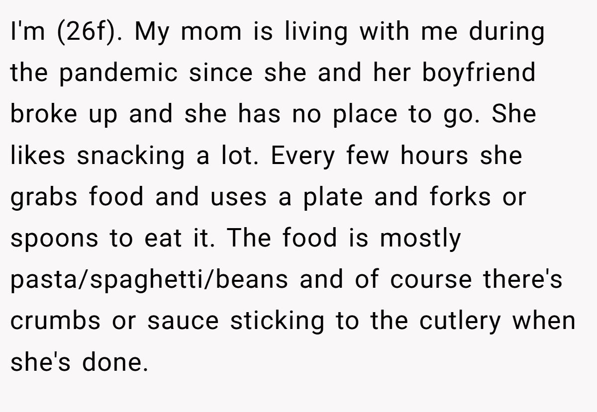 I'm (26f). My mom is living with me during the pandemic since she and her boyfriend broke up and she has no place to go. She likes snacking a lot. Every few hours she grabs food and uses a plate and forks or spoons to eat it. The food is mostly pasta/spaghetti/beans and of course there's crumbs or sauce sticking to the cutlery when she's done.