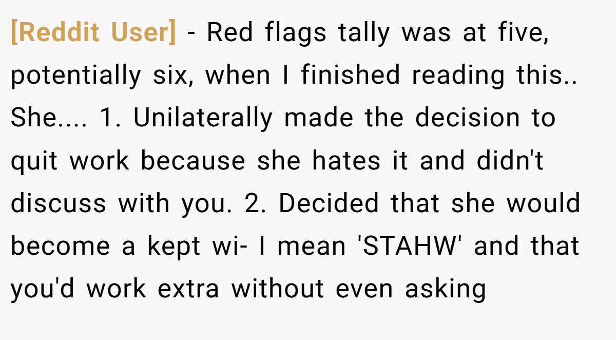 [Reddit User] - Red flags tally was at five, potentially six, when I finished reading this.. She.... 1. Unilaterally made the decision to quit work because she hates it and didn't discuss with you. 2. Decided that she would become a kept wi- I mean 'STAHW' and that you'd work extra without even asking