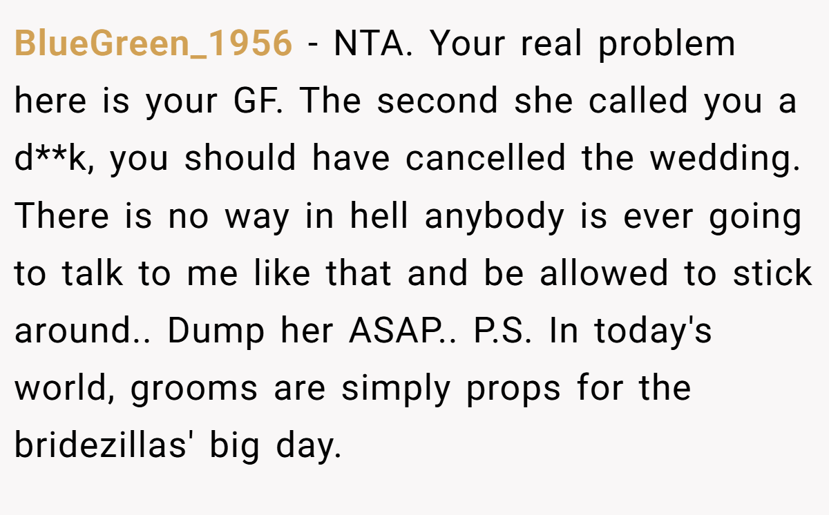 BlueGreen_1956 − NTA. Your real problem here is your GF. The second she called you a d**k, you should have cancelled the wedding. There is no way in hell anybody is ever going to talk to me like that and be allowed to stick around.. Dump her ASAP.. P.S. In today's world, grooms are simply props for the bridezillas' big day.
