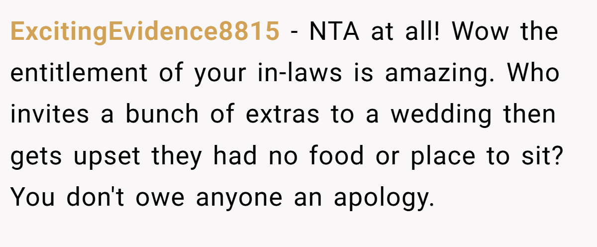ExcitingEvidence8815 − NTA at all! Wow the entitlement of your in-laws is amazing. Who invites a bunch of extras to a wedding then gets upset they had no food or place to sit? You don't owe anyone an apology.