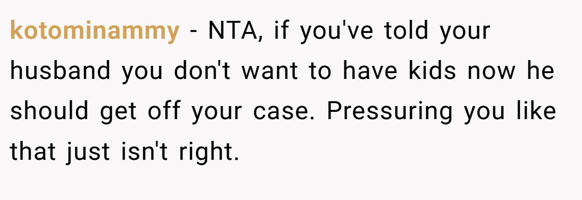 kotominammy − NTA, if you've told your husband you don't want to have kids now he should get off your case. Pressuring you like that just isn't right.