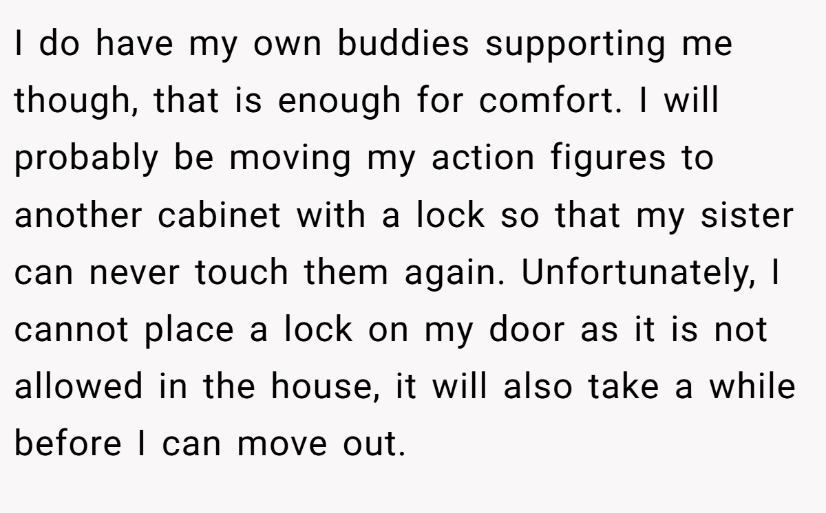 I do have my own buddies supporting me though, that is enough for comfort. I will probably be moving my action figures to another cabinet with a lock so that my sister can never touch them again. Unfortunately, I cannot place a lock on my door as it is not allowed in the house, it will also take a while before I can move out.