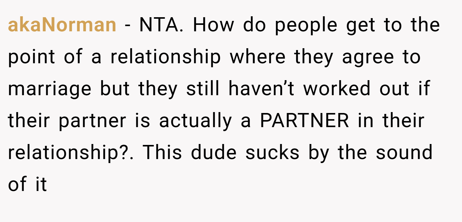 akaNorman − NTA. How do people get to the point of a relationship where they agree to marriage but they still haven’t worked out if their partner is actually a PARTNER in their relationship?. This dude sucks by the sound of it