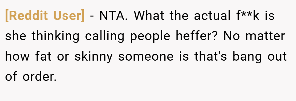[Reddit User] − NTA. What the actual f**k is she thinking calling people heffer? No matter how fat or skinny someone is that's bang out of order.