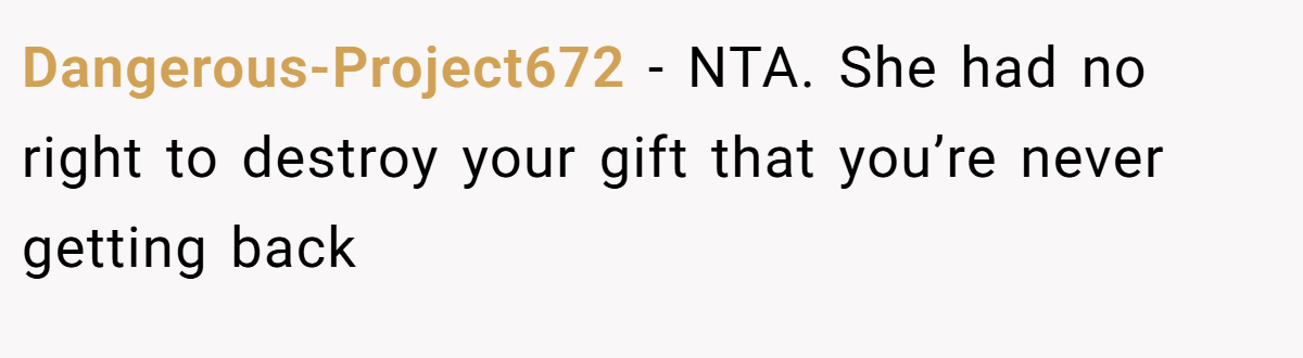 Dangerous-Project672 − NTA. She had no right to destroy your gift that you’re never getting back