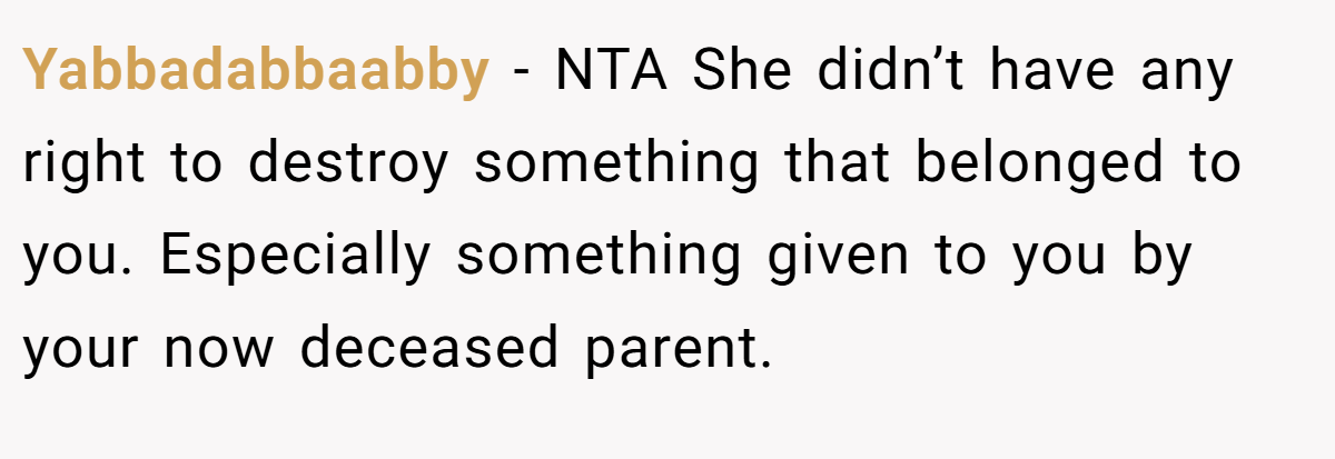 Yabbadabbaabby − NTA She didn’t have any right to destroy something that belonged to you. Especially something given to you by your now deceased parent.