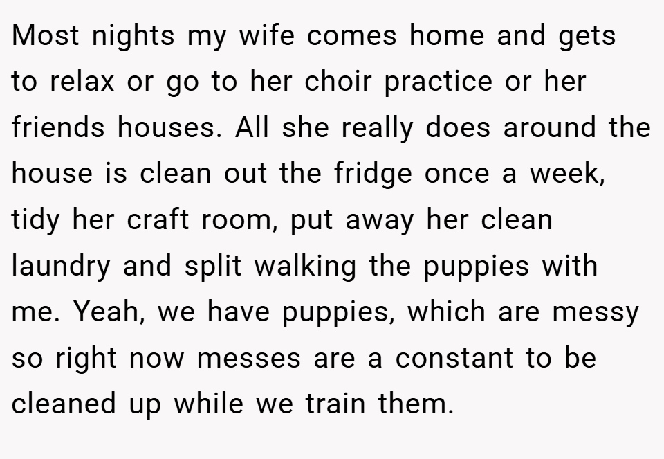 Most nights my wife comes home and gets to relax or go to her choir practice or her friends houses. All she really does around the house is clean out the fridge once a week, tidy her craft room, put away her clean laundry and split walking the puppies with me. Yeah, we have puppies, which are messy so right now messes are a constant to be cleaned up while we train them.