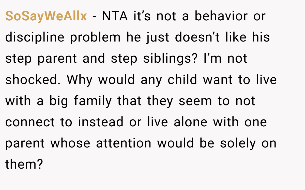 SoSayWeAllx − NTA it’s not a behavior or discipline problem he just doesn’t like his step parent and step siblings? I’m not shocked. Why would any child want to live with a big family that they seem to not connect to instead or live alone with one parent whose attention would be solely on them?