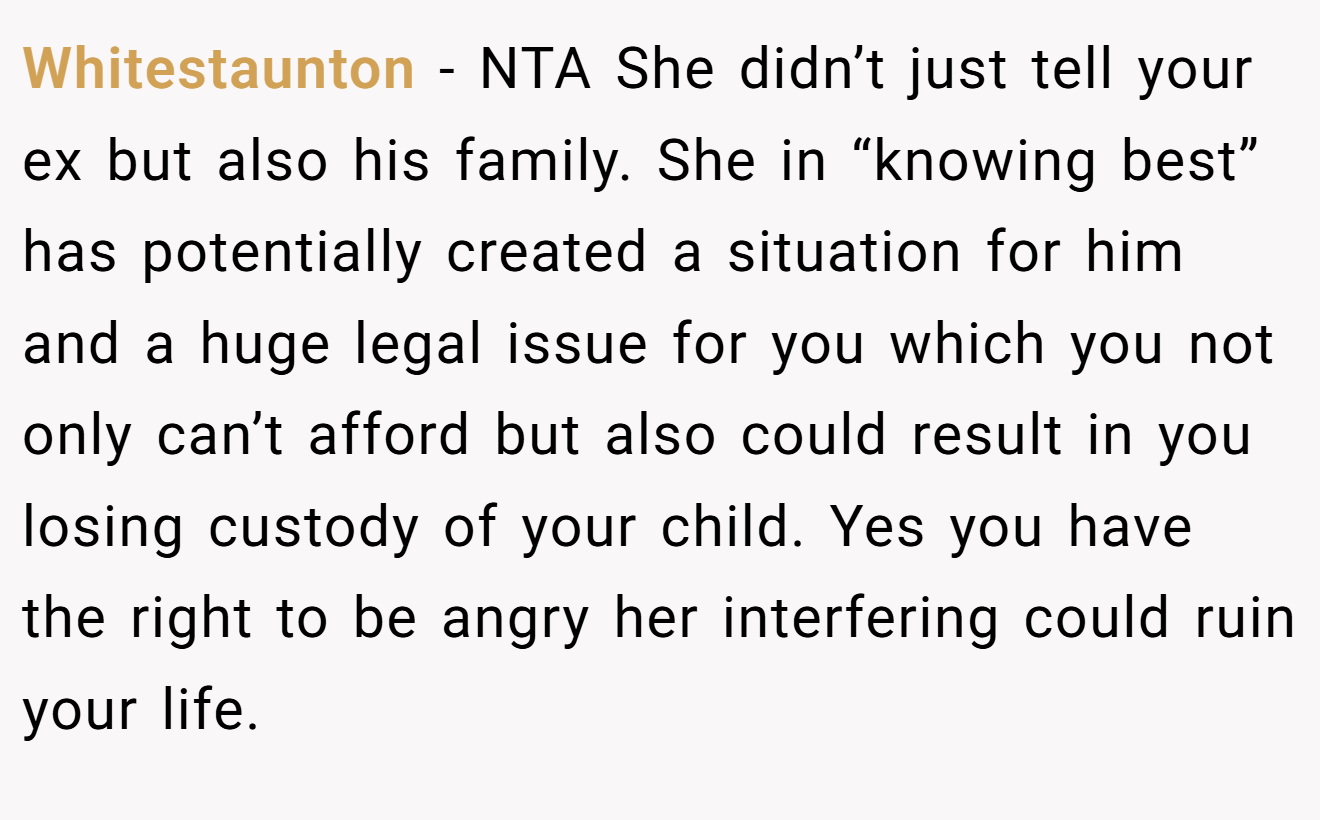 Whitestaunton - NTA She didn’t just tell your ex but also his family. She in “knowing best” has potentially created a situation for him and a huge legal issue for you which you not only can’t afford but also could result in you losing custody of your child. Yes you have the right to be angry her interfering could ruin your life.