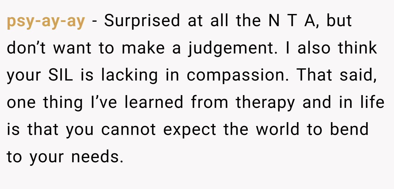 psy-ay-ay - Surprised at all the N T A, but don’t want to make a judgement. I also think your SIL is lacking in compassion. That said, one thing I’ve learned from therapy and in life is that you cannot expect the world to bend to your needs.