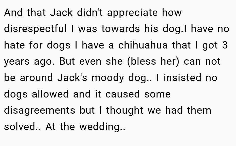 And that Jack didn't appreciate how disrespectful I was towards his dog.I have no hate for dogs I have a chihuahua that I got 3 years ago. But even she (bless her) can not be around Jack's moody dog.. I insisted no dogs allowed and it caused some disagreements but I thought we had them solved.. At the wedding..