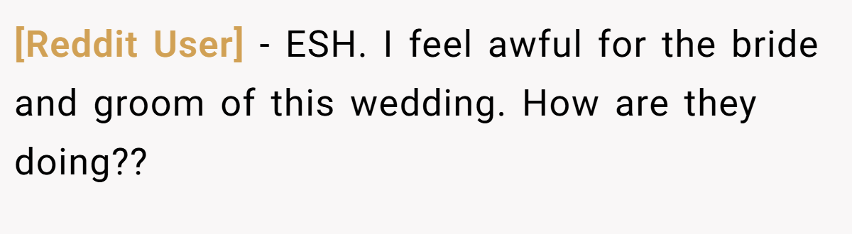 [Reddit User] − ESH. I feel awful for the bride and groom of this wedding. How are they doing??