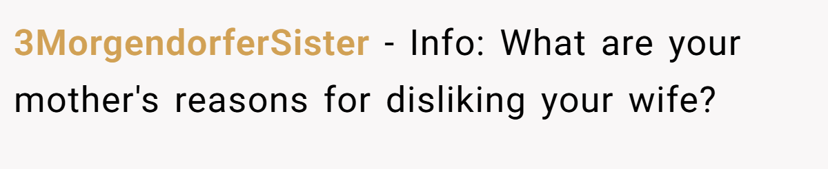 3MorgendorferSister − Info: What are your mother's reasons for disliking your wife?