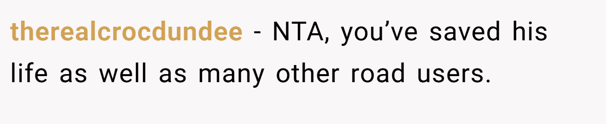 therealcrocdundee - NTA, you’ve saved his life as well as many other road users.