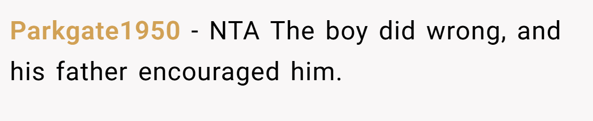 Parkgate1950 − NTA The boy did wrong, and his father encouraged him.