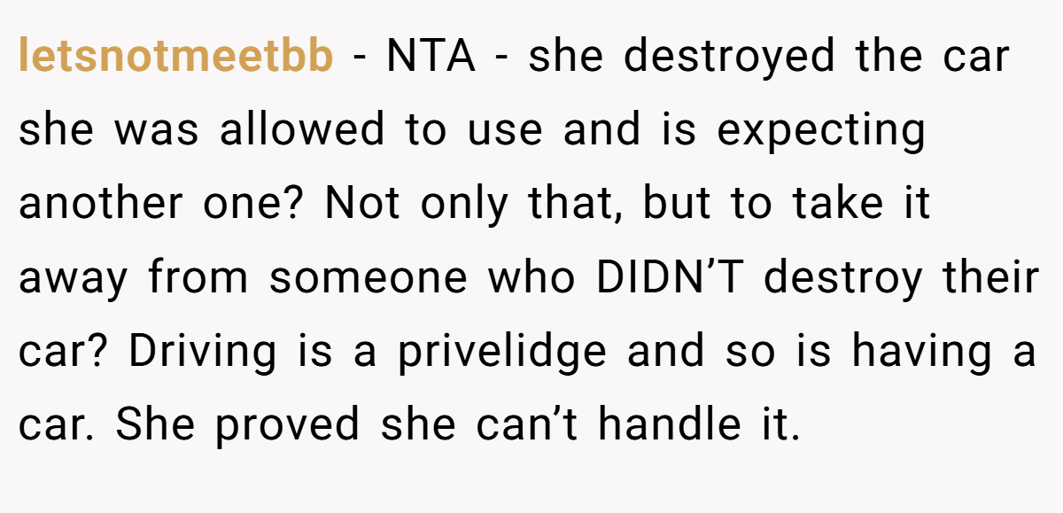 letsnotmeetbb − NTA - she destroyed the car she was allowed to use and is expecting another one? Not only that, but to take it away from someone who DIDN’T destroy their car? Driving is a privelidge and so is having a car. She proved she can’t handle it.