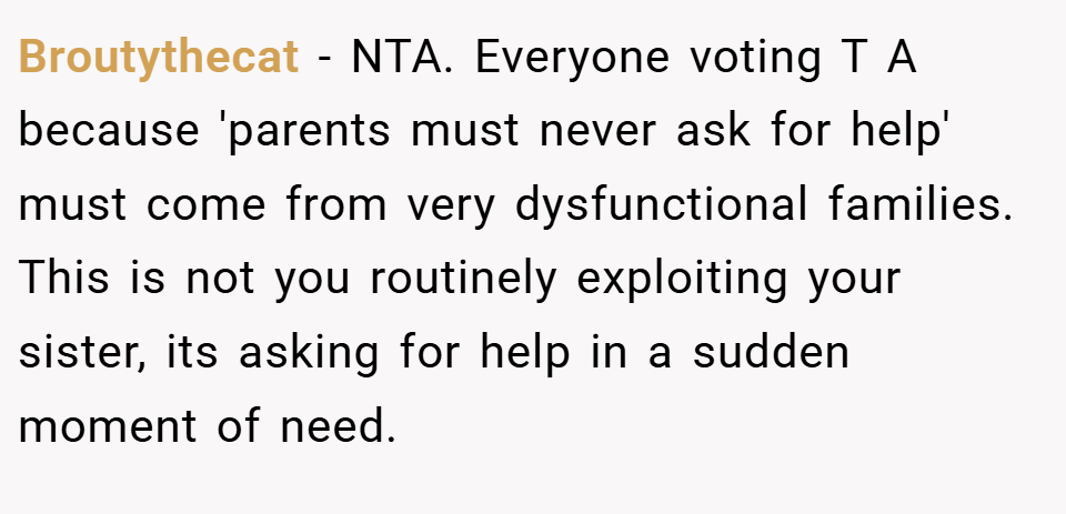 Broutythecat − NTA. Everyone voting T A because 'parents must never ask for help' must come from very dysfunctional families. This is not you routinely exploiting your sister, its asking for help in a sudden moment of need.