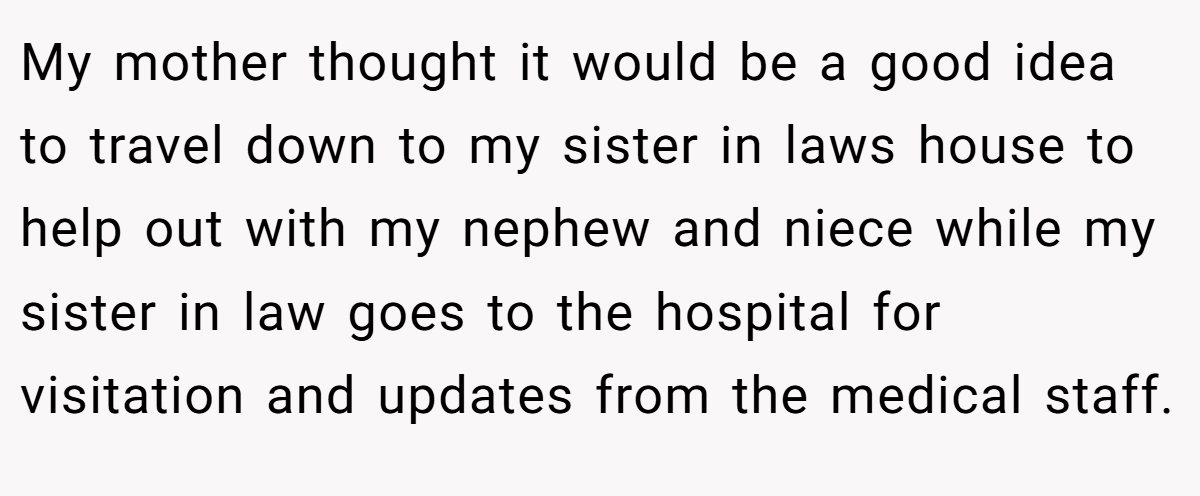 My mother thought it would be a good idea to travel down to my sister in laws house to help out with my nephew and niece while my sister in law goes to the hospital for visitation and updates from the medical staff.