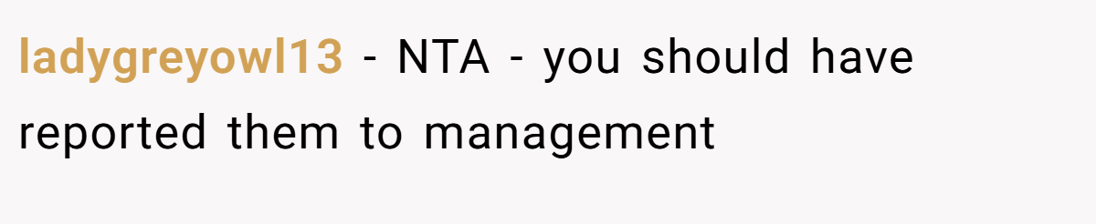 ladygreyowl13 − NTA - you should have reported them to management
