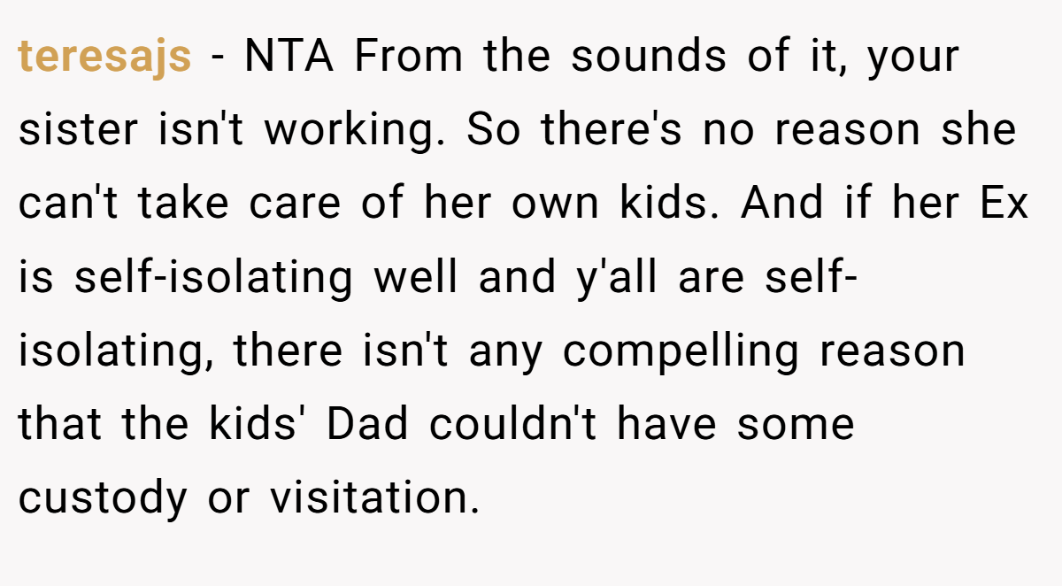 teresajs − NTA From the sounds of it, your sister isn't working. So there's no reason she can't take care of her own kids. And if her Ex is self-isolating well and y'all are self-isolating, there isn't any compelling reason that the kids' Dad couldn't have some custody or visitation.