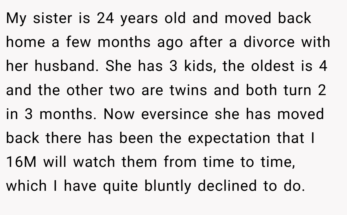 My sister is 24 years old and moved back home a few months ago after a divorce with her husband. She has 3 kids, the oldest is 4 and the other two are twins and both turn 2 in 3 months. Now eversince she has moved back there has been the expectation that I 16M will watch them from time to time, which I have quite bluntly declined to do.