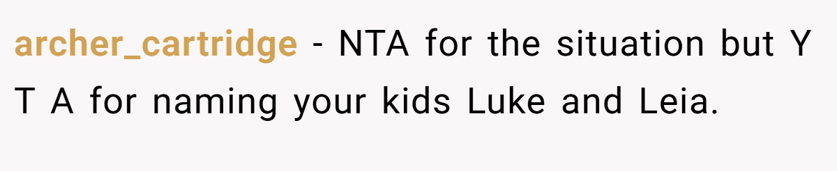 archer_cartridge − NTA for the situation but Y T A for naming your kids Luke and Leia.