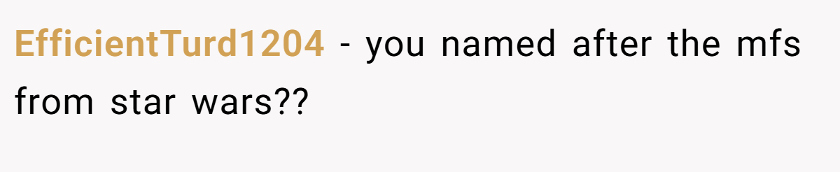 EfficientTurd1204 − you named after the mfs from star wars??