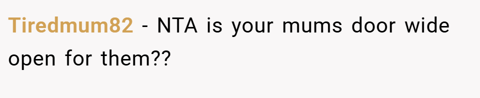 Tiredmum82 − NTA is your mums door wide open for them??