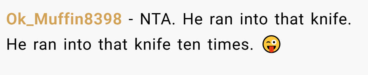 Ok_Muffin8398 − NTA. He ran into that knife. He ran into that knife ten times. 😜