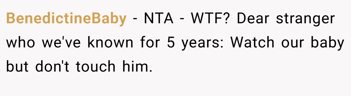 BenedictineBaby − NTA - WTF? Dear stranger who we've known for 5 years: Watch our baby but don't touch him.