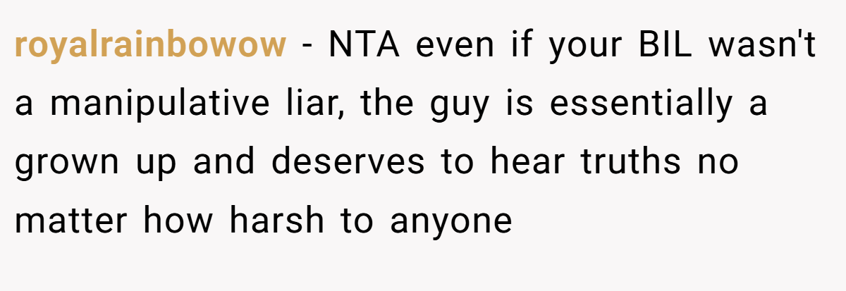 royalrainbowow - NTA even if your BIL wasn't a manipulative liar, the guy is essentially a grown up and deserves to hear truths no matter how harsh to anyone