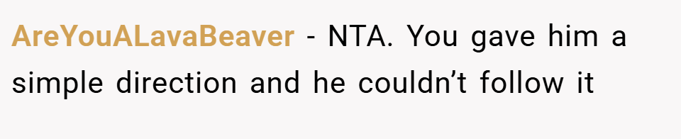 AreYouALavaBeaver − NTA. You gave him a simple direction and he couldn’t follow it