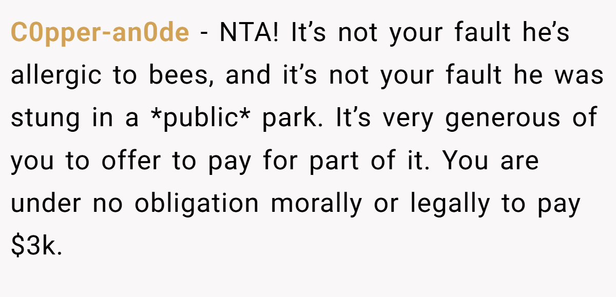 C0pper-an0de − NTA! It’s not your fault he’s allergic to bees, and it’s not your fault he was stung in a *public* park. It’s very generous of you to offer to pay for part of it. You are under no obligation morally or legally to pay $3k.