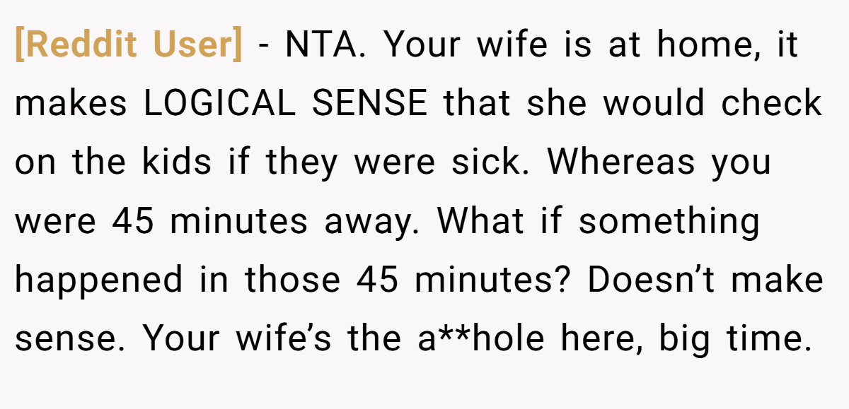 [Reddit User] - NTA. Your wife is at home, it makes LOGICAL SENSE that she would check on the kids if they were sick. Whereas you were 45 minutes away. What if something happened in those 45 minutes? Doesn’t make sense. Your wife’s the a**hole here, big time.
