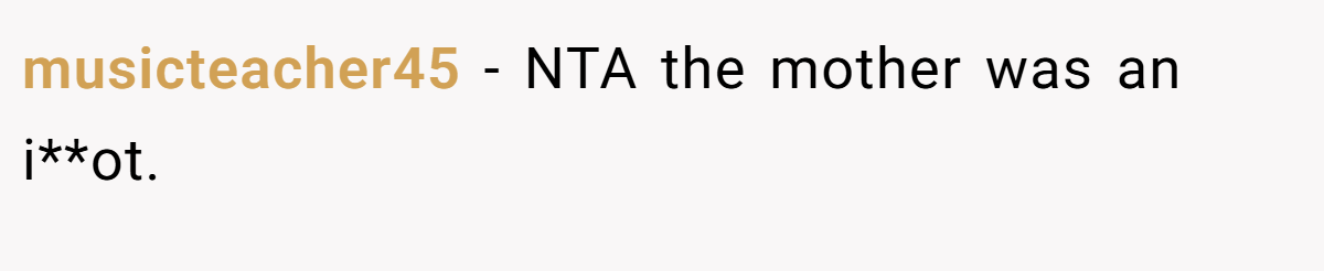 musicteacher45 - NTA the mother was an i**ot.
