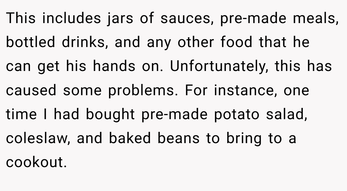 This includes jars of sauces, pre-made meals, bottled drinks, and any other food that he can get his hands on. Unfortunately, this has caused some problems. For instance, one time I had bought pre-made potato salad, coleslaw, and baked beans to bring to a cookout.