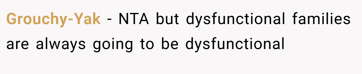 Grouchy-Yak - NTA but dysfunctional families are always going to be dysfunctional
