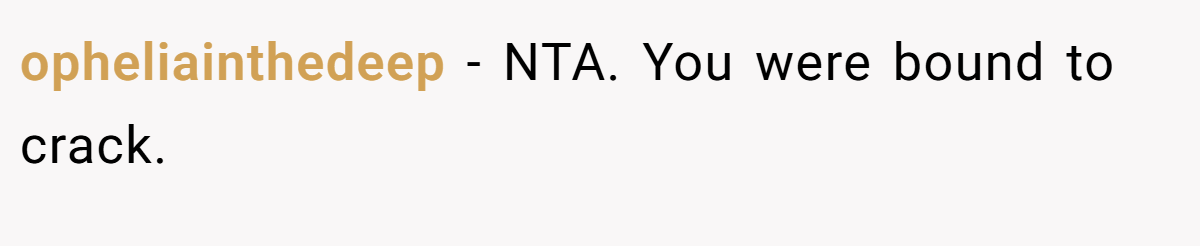 opheliainthedeep - NTA. You were bound to crack.