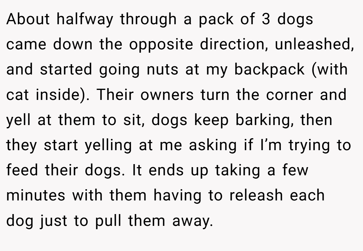 About halfway through a pack of 3 dogs came down the opposite direction, unleashed, and started going nuts at my backpack (with cat inside). Their owners turn the corner and yell at them to sit, dogs keep barking, then they start yelling at me asking if I’m trying to feed their dogs. It ends up taking a few minutes with them having to releash each dog just to pull them away.
