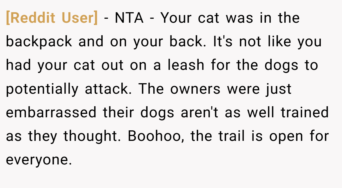 [Reddit User] − NTA - Your cat was in the backpack and on your back. It's not like you had your cat out on a leash for the dogs to potentially attack. The owners were just embarrassed their dogs aren't as well trained as they thought. Boohoo, the trail is open for everyone.