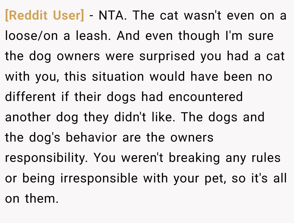 [Reddit User] − NTA. The cat wasn't even on a loose/on a leash. And even though I'm sure the dog owners were surprised you had a cat with you, this situation would have been no different if their dogs had encountered another dog they didn't like. The dogs and the dog's behavior are the owners responsibility. You weren't breaking any rules or being irresponsible with your pet, so it's all on them.