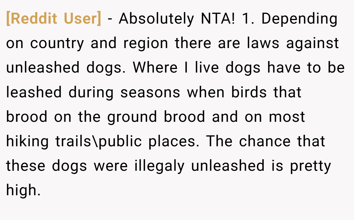 [Reddit User] − Absolutely NTA! 1. Depending on country and region there are laws against unleashed dogs. Where I live dogs have to be leashed during seasons when birds that brood on the ground brood and on most hiking trails\public places. The chance that these dogs were illegaly unleashed is pretty high.