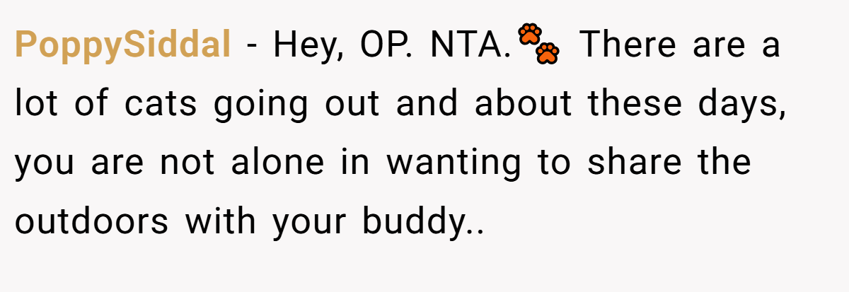 PoppySiddal − Hey, OP. NTA.🐾 There are a lot of cats going out and about these days, you are not alone in wanting to share the outdoors with your buddy..