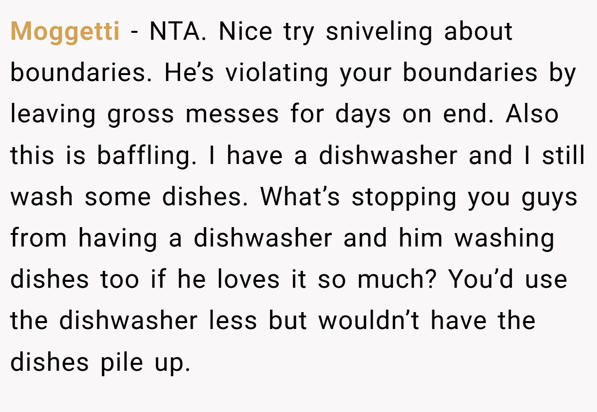 Moggetti − NTA. Nice try sniveling about boundaries. He’s violating your boundaries by leaving gross messes for days on end. Also this is baffling. I have a dishwasher and I still wash some dishes. What’s stopping you guys from having a dishwasher and him washing dishes too if he loves it so much? You’d use the dishwasher less but wouldn’t have the dishes pile up.